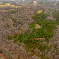 105 - Acres Hunting Property Creek Pond Sharp County Strawberry Arkansas images 2