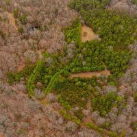 105 - Acres Hunting Property Creek Pond Sharp County Strawberry Arkansas images 3