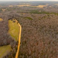 105 - Acres Hunting Property Creek Pond Sharp County Strawberry Arkansas images 4