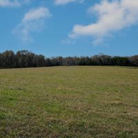 Combination Farm In Missouri images 5