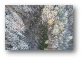 396 Acres in Leflore County in Greenwood MS featured image