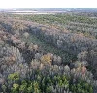 396 Acres in Leflore County in Greenwood MS images 5
