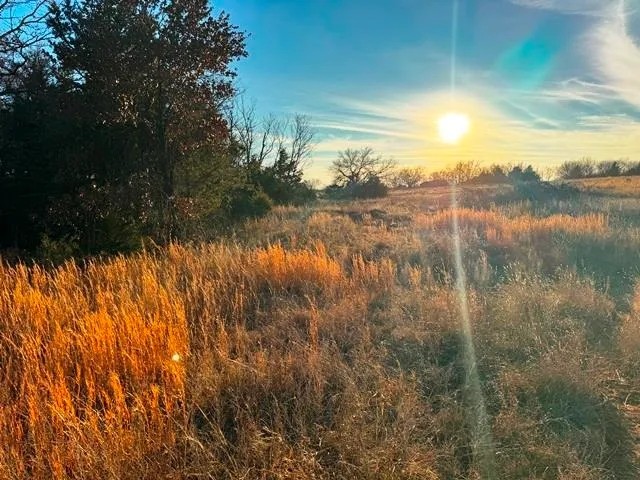 Yost Road 80 Acres- Stillwater OK featured image