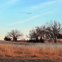 Yost Road 80 Acres- Stillwater OK images 2