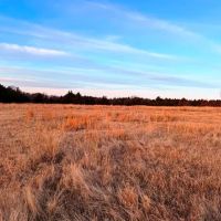 Yost Road 80 Acres- Stillwater OK images 4
