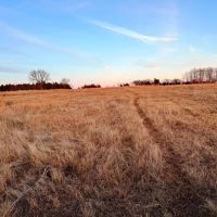 Yost Road 80 Acres- Stillwater OK images 5