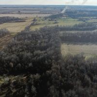 374 County Road 460 E Wayne City IL 62895 images 2