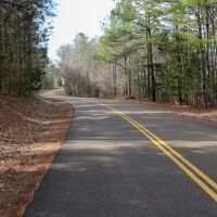 Lafayette County - 115 Acres images 5