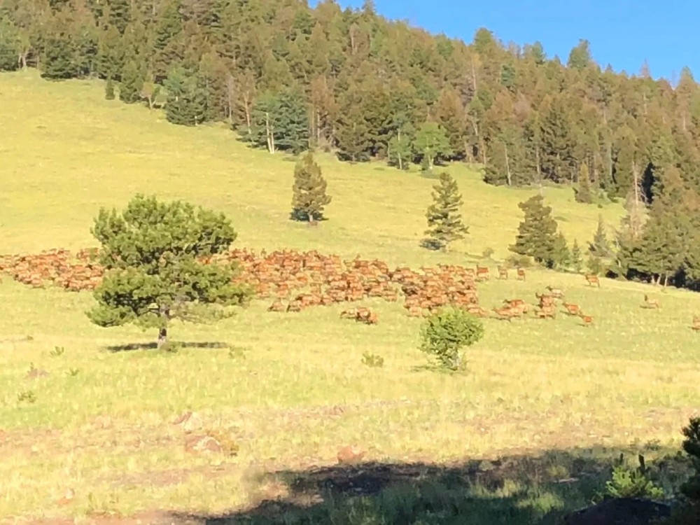 Saddle Mountain Ranch Guffey Colorado featured image