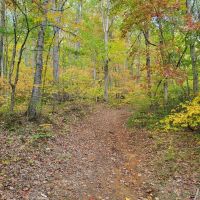 48.67 - Mountaintop Acres in Jackson County images 3