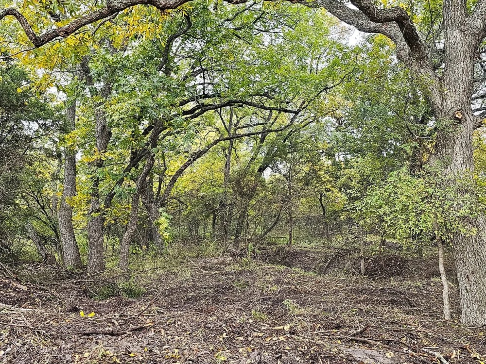 15 Acres in Lampasas featured image
