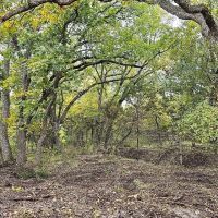 15 Acres in Lampasas
