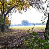 15 Acres in Lampasas images 3
