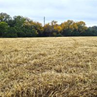 15 Acres in Lampasas images 4