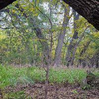 15 Acres in Lampasas images 5
