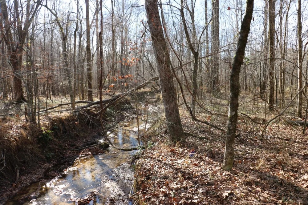 Montgomery County - 135 Acres featured image