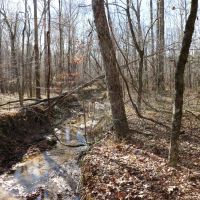 Montgomery County - 135 Acres