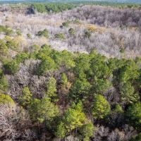 Montgomery County - 135 Acres images 2