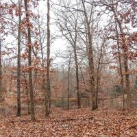 Dixon 12 images 2