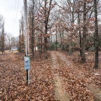 Dixon 12 images 3