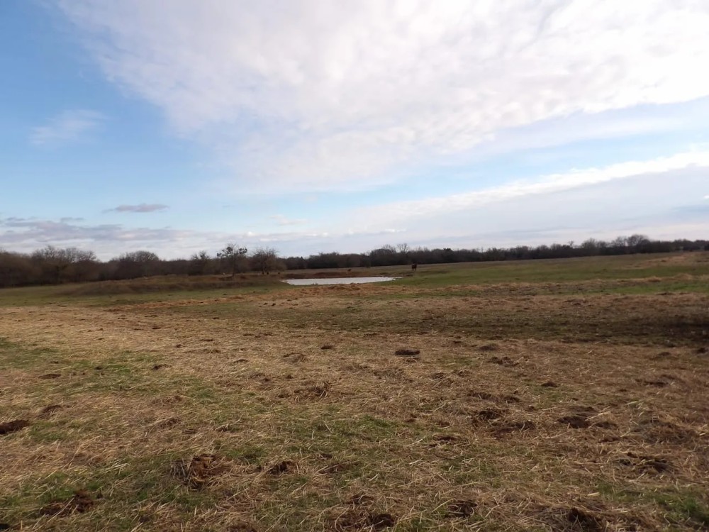 70 ACRES OF PEACEFUL LIVING featured image