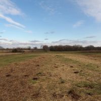 70 ACRES OF PEACEFUL LIVING images 2