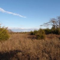 70 ACRES OF PEACEFUL LIVING images 3