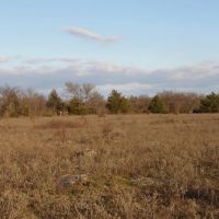 70 ACRES OF PEACEFUL LIVING images 4