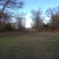 70 ACRES OF PEACEFUL LIVING images 5