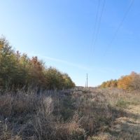 LA - Caldwell 27.35 acres - images 2