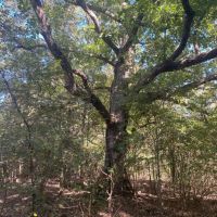 KILBOURNE 19 images 2