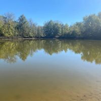 KILBOURNE 19 images 3
