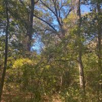 KILBOURNE 19 images 5