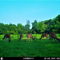 2270 Shuler Branch Road Ethridge TN 38456