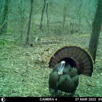 2270 Shuler Branch Road Ethridge TN 38456 images 3