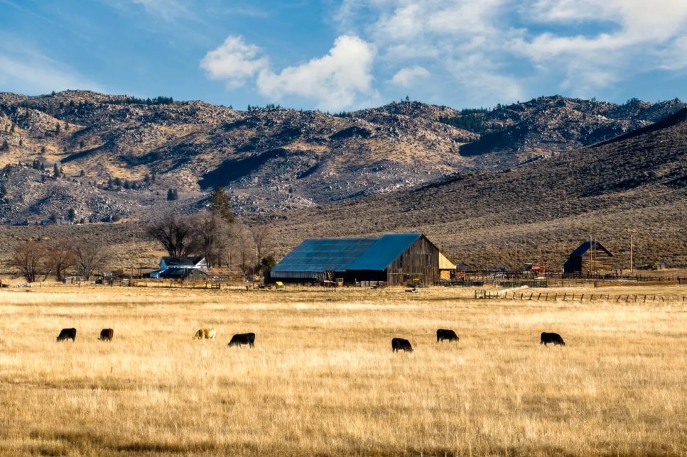 Pitchfork Cattle Company Ranch featured image