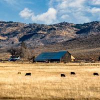 Pitchfork Cattle Company Ranch