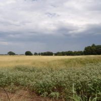 589 ACRE REACREATIONAL AND MULTI USE LAND