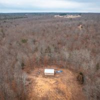 Mill Creek Thicket images 2