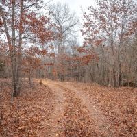 Mill Creek Thicket images 4