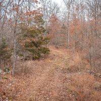 Mill Creek Thicket images 5