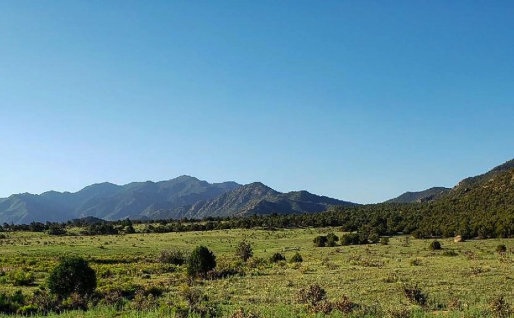 Royal Gorge Ranch featured image