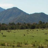 Royal Gorge Ranch images 2