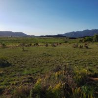 Royal Gorge Ranch images 3