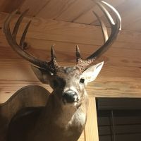 Img 0348