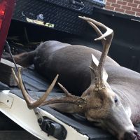 2,000 Acre Deer Hunting Club in Colleton County, SC