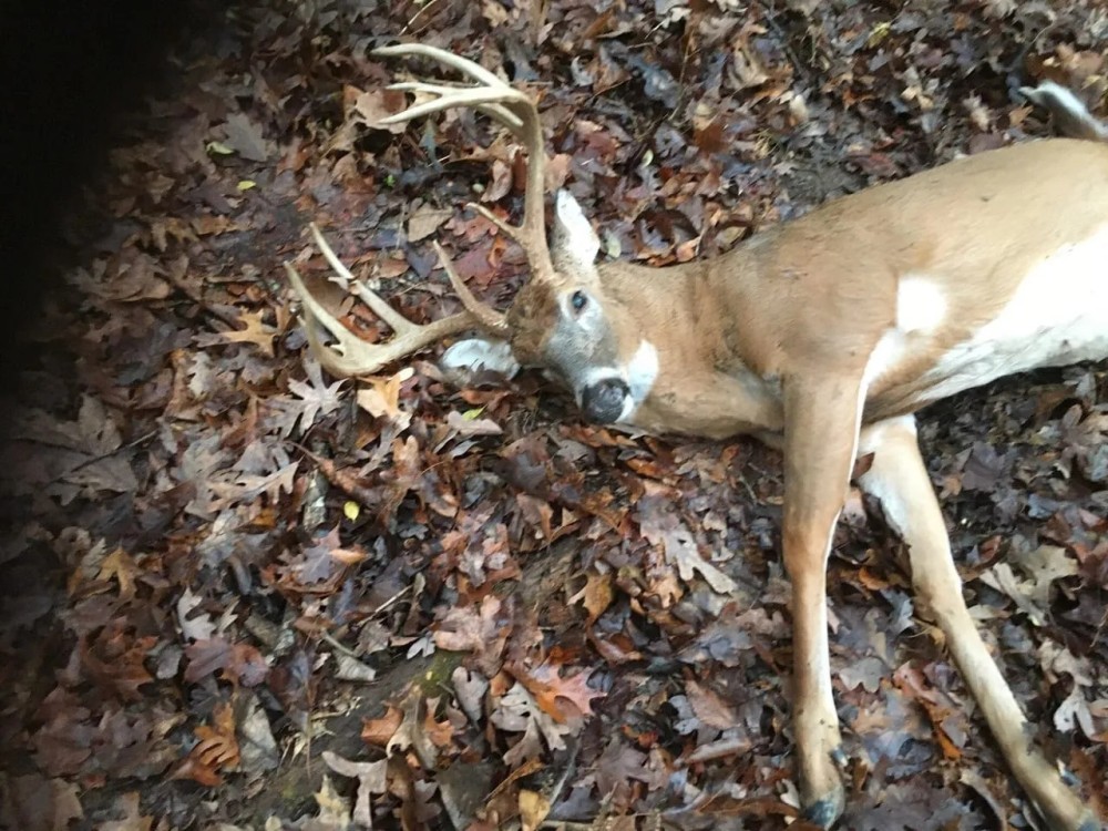 Great hunting fishing AND location in St James Mo featured image