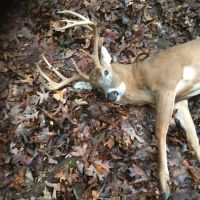 Great hunting fishing AND location in St James Mo