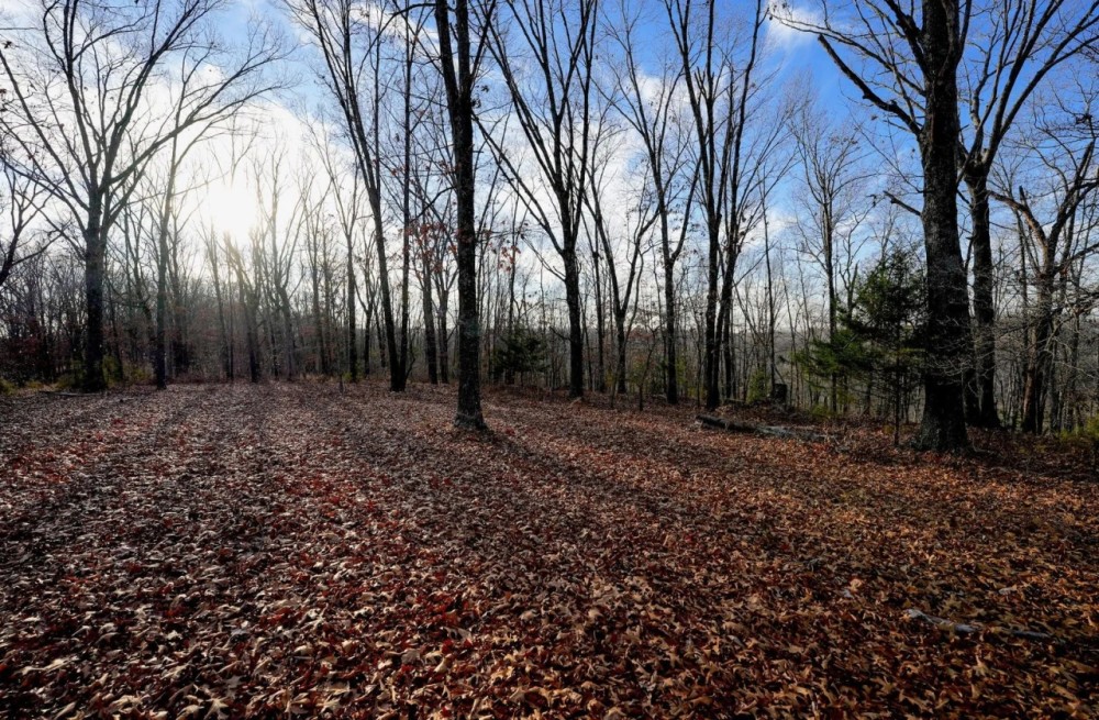 Secluded Ozarks Hunting And Rec Tract For Sale featured image