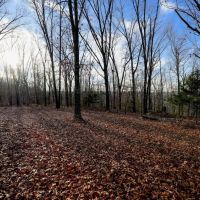 Secluded Ozarks Hunting And Rec Tract For Sale